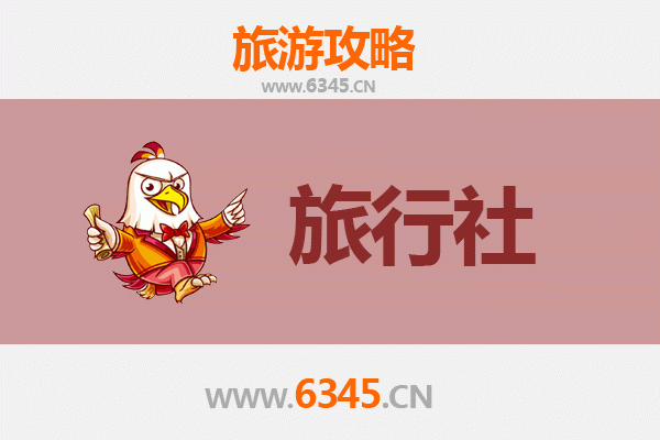 重庆渝中本地旅行社推荐：解锁山城魅力的完美指南